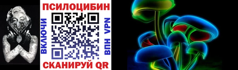 цена   Кунгур  Псилоцибиновые грибы мицелий 